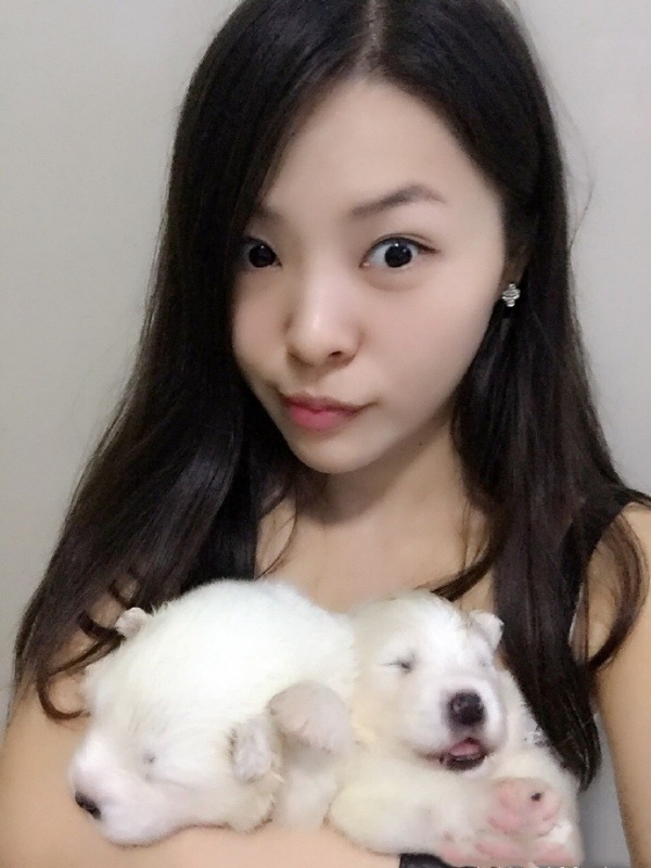 如果可以的第三张照片--南充相亲服务中心