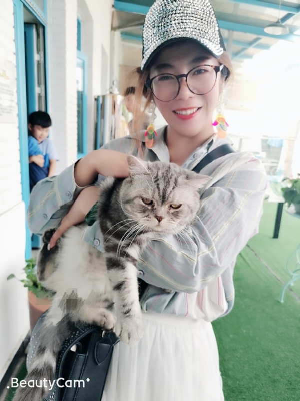 小黑猫的第一张照片--南充相亲服务中心