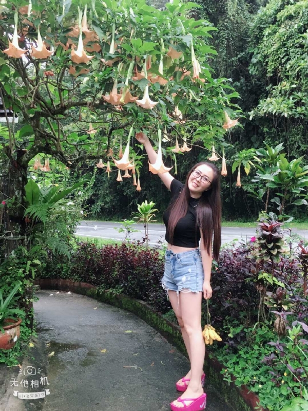 离异单身无子的第二张照片--南充相亲服务中心