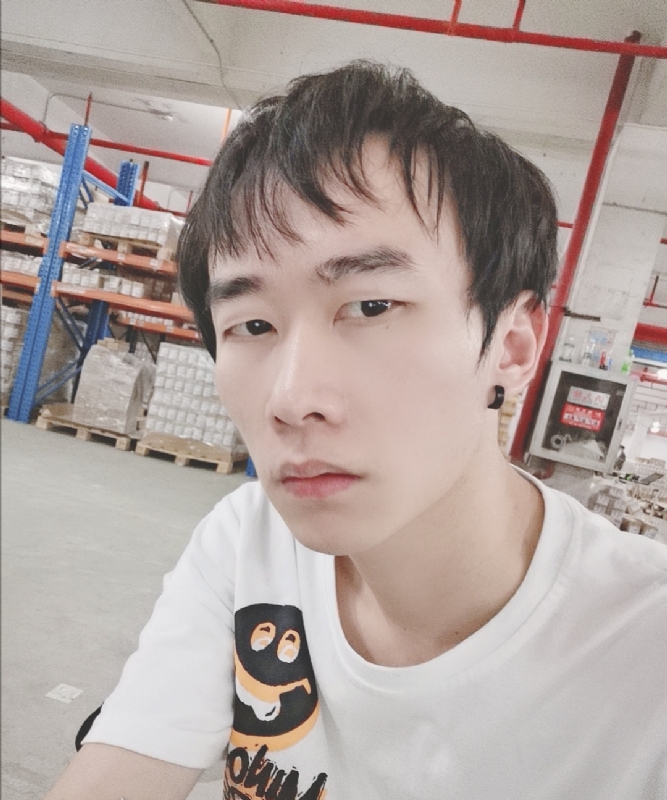 巷子里的猫的第一张照片--南充相亲服务中心