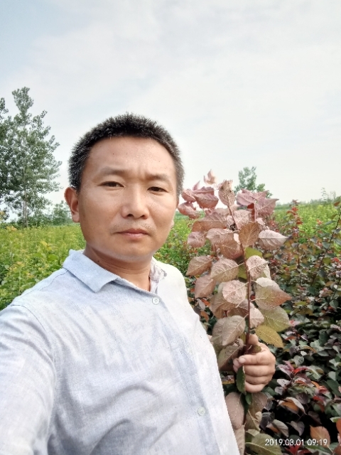 孩子爸的第一张照片--南充相亲服务中心