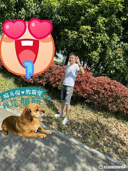 我若不坚强谁替我勇敢的第一张照片--南充相亲服务中心