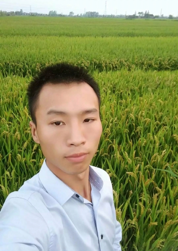 等待远方的你的第二张照片--南充相亲服务中心