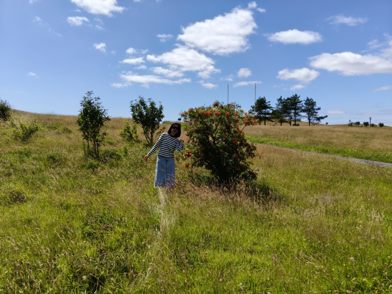 秋蝉的第一张照片--南充相亲服务中心