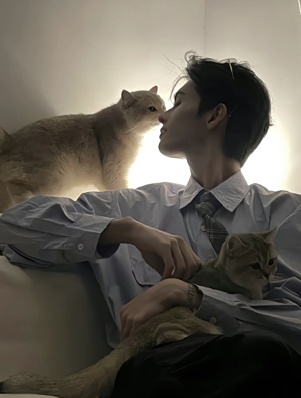怪猫的第一张照片--南充相亲服务中心