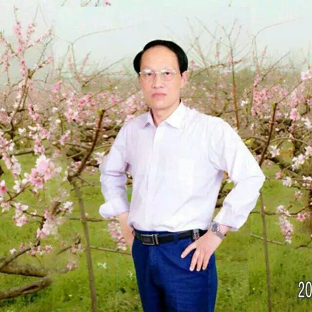 枫叶的第一张照片--南充相亲服务中心