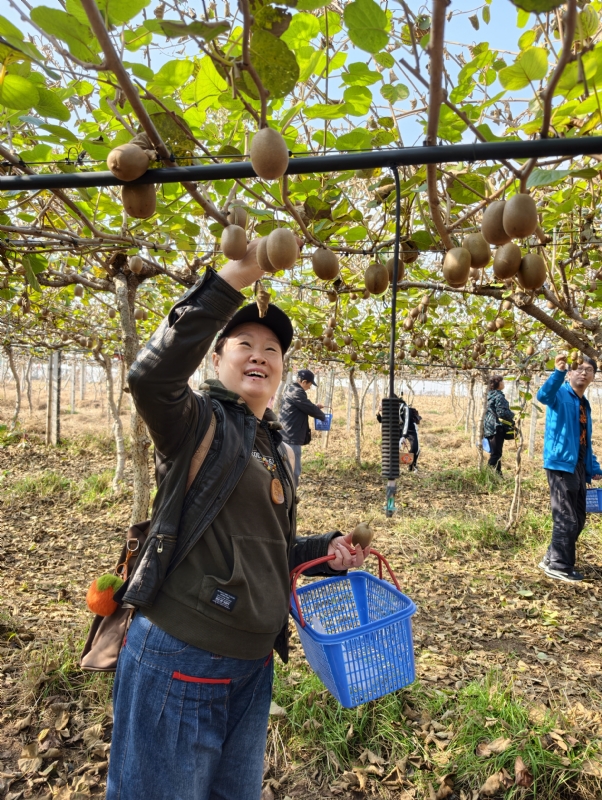 夜莺的第四张照片--南充相亲服务中心